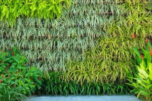 vertical garden outside a Perth home